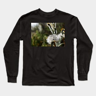 Silver Puff (Uropappus lindleyi) Long Sleeve T-Shirt